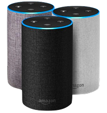 Enceinte Amazon